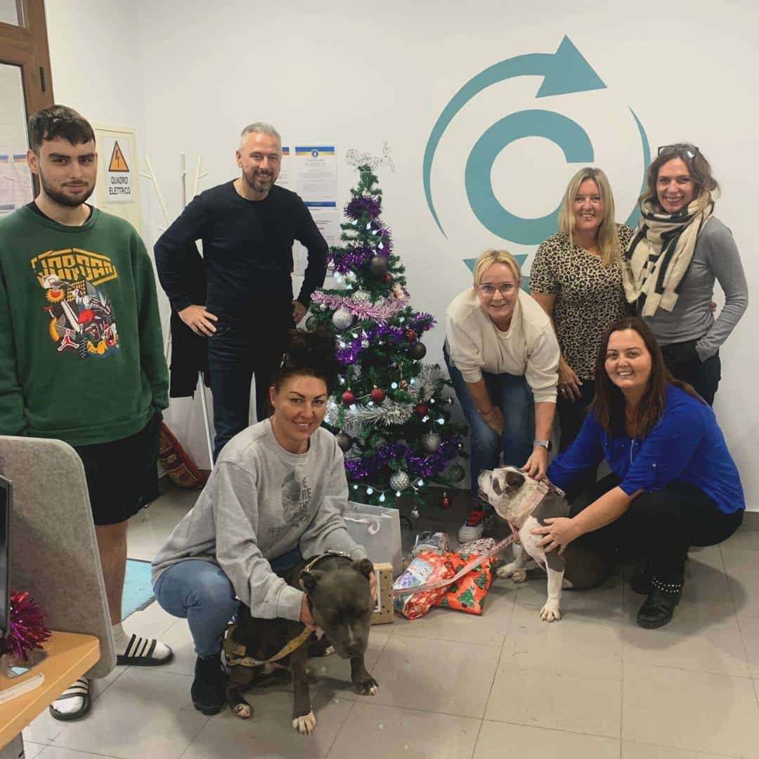 Connect My Marketing Giving Back Connect Team with Laura and Dogs