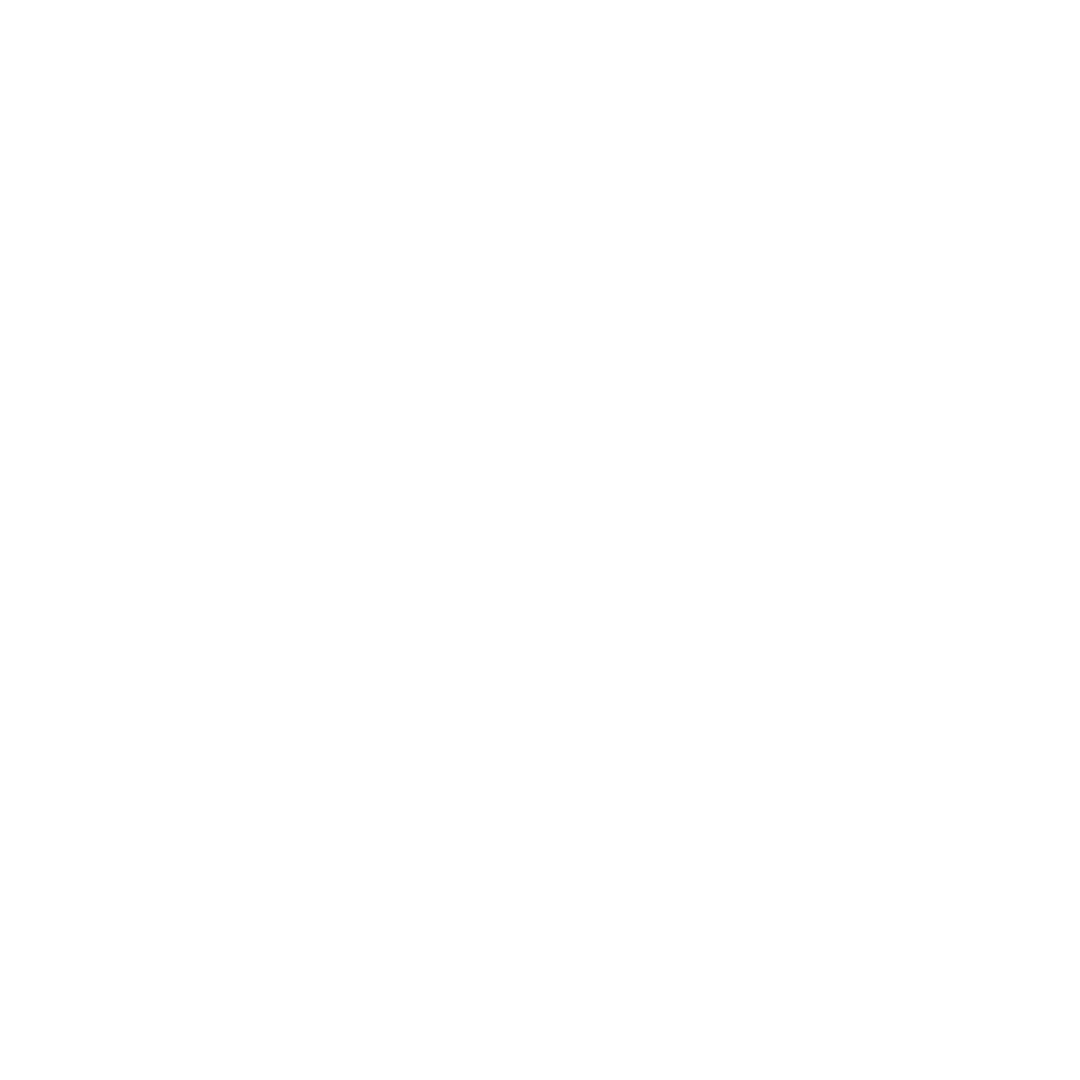 Branding & Logo Design